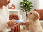 A person using an LED pet nail clipper to safely trim a calm puppy's nails in a bright, modern living room.